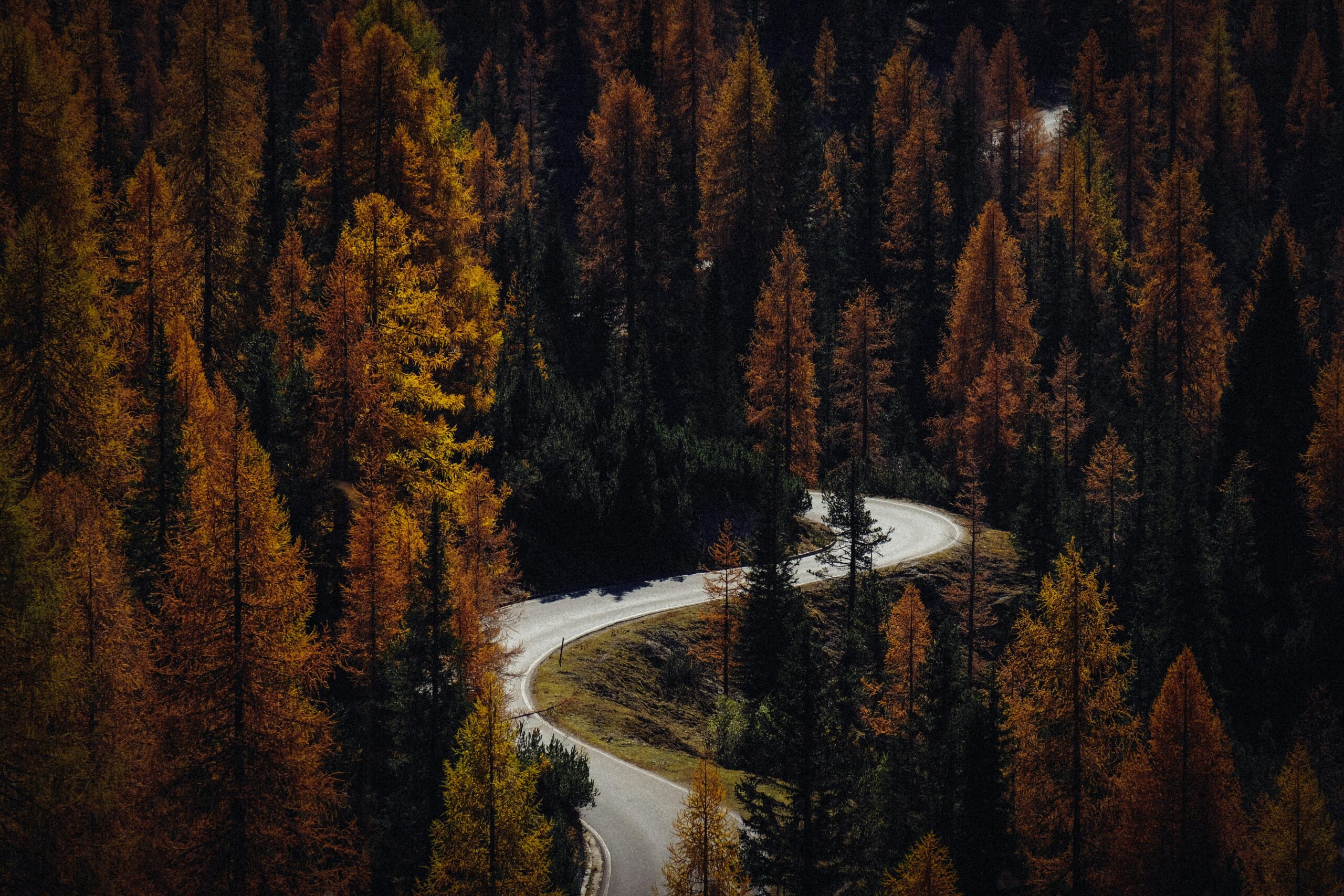 A scenic winding road cuts through a dense autumn forest with vibrant foliage.